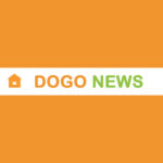 Dogo News