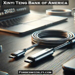 Xinyi Teng Bank of America