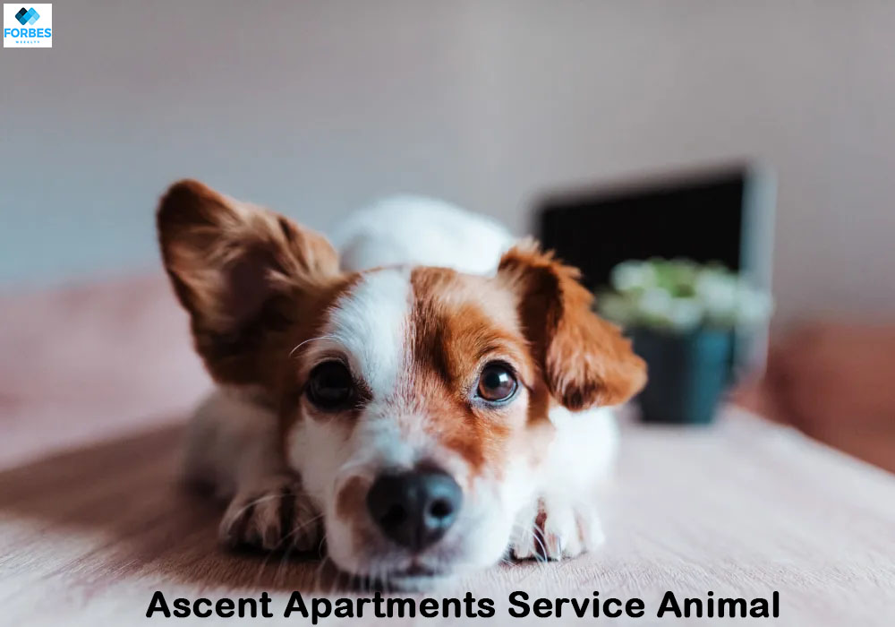 Ascent Apartments Service Animal