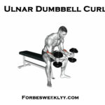 Ulnar Dumbbell Curl